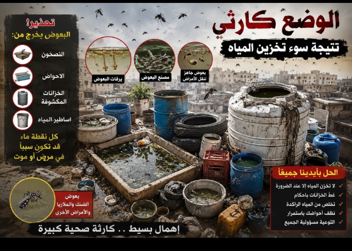 تحذير صحي من انتشار بؤر البعوض في الشيخ عثمان ودعوات لإجراءات عاجلة تحذير صحي من انتشار بؤر البعوض في الشيخ عثمان ودعوات لإجراءات عاجلة